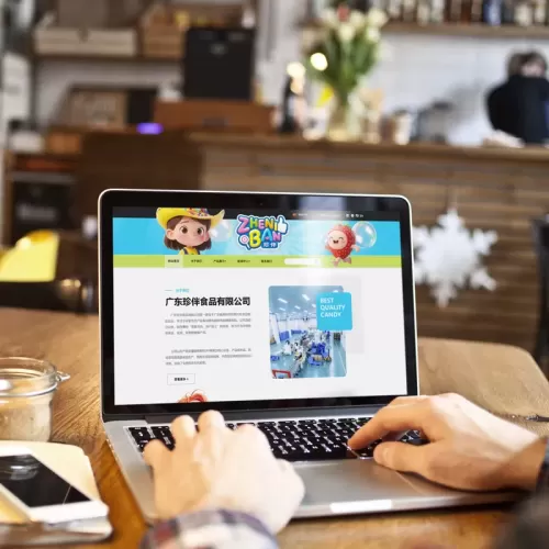 广东珍伴食品有限公司全新官方网站，现已隆重上线！